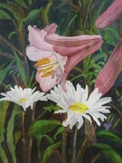 Trumpet Lilly & Daises