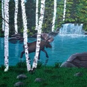 Moose in the Waterfalls