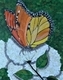 The Monarch Butterfly