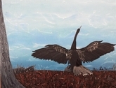 Drying Her Wings