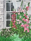 HollyHocks
