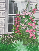 Hollyhock's