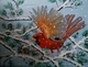 Cardinal Winter