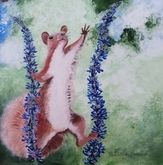 The Adventurist Squirrel