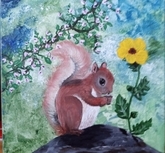 A Busy Squirrel