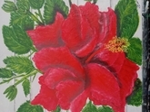 Hibiscus Flower